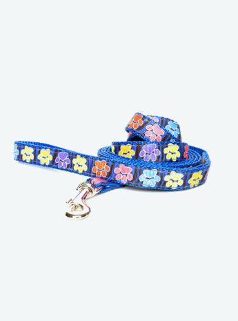 Blue dog leash